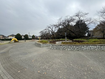 おおぞら公園の画像1
