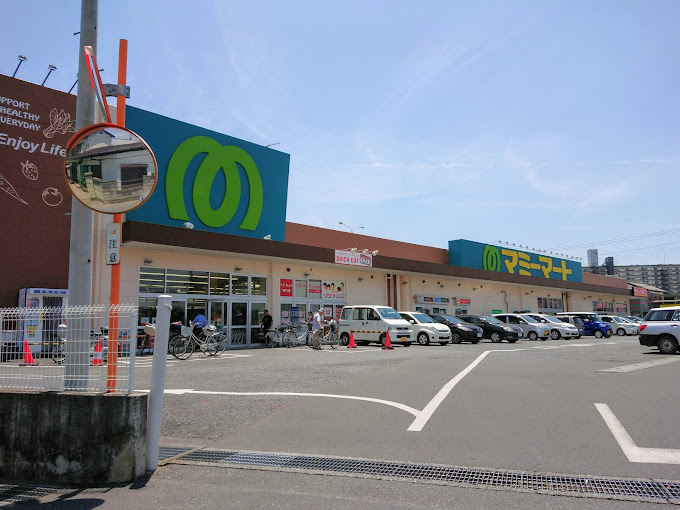 の画像