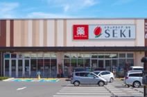 ドラッグストア セキ 鶴ケ舞店