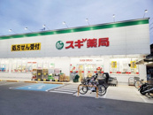 スギ薬局　尼崎西立花店