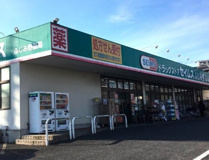 ドラッグセイムス ふじみ野店