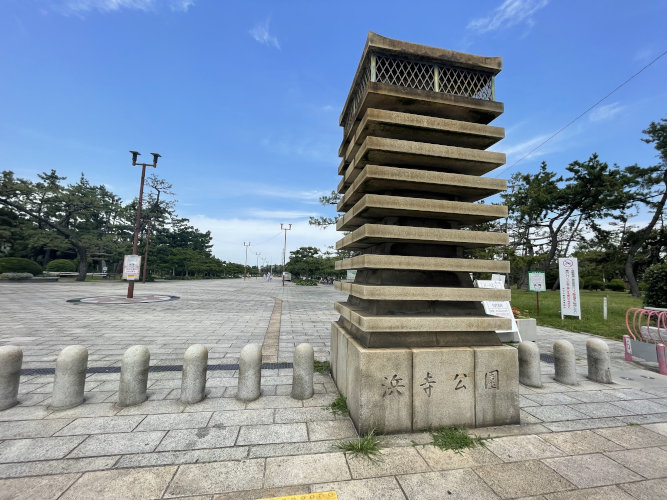 の画像