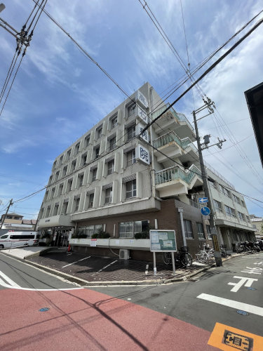 の画像