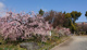 荒子公園の画像