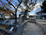 萩原台第82号　きのこ公園