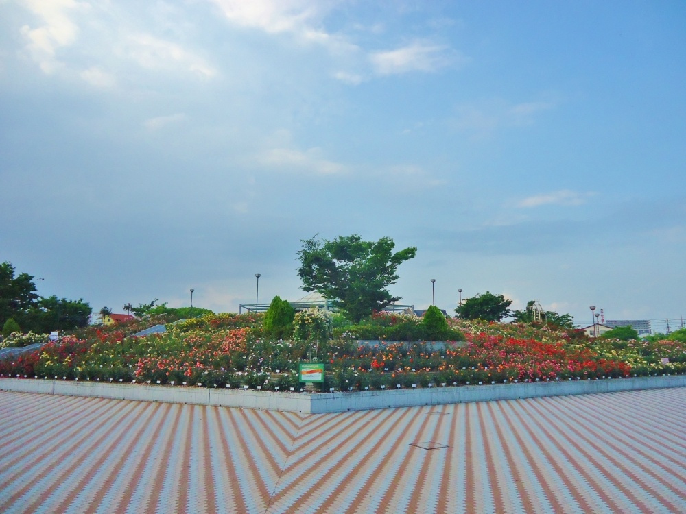 緑町公園の画像