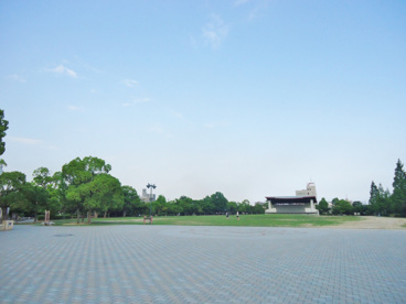 緑町公園の画像3
