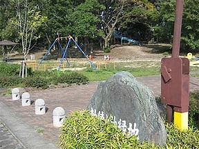 の画像