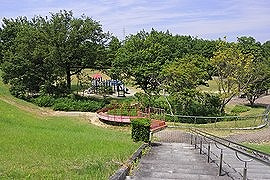 の画像