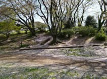 船戸ときわ台公園