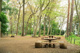 三井の森公園の画像