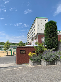 神戸星城高等学校の画像1