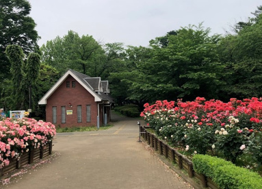 与野公園の画像1