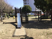 公園 たんぽぽ公園