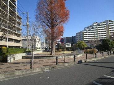並木元町北公園の画像1