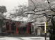 麻布氷川神社の画像