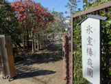 氷室椿庭園