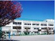 杉並区立 富士見丘小学校の画像