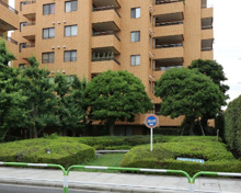 成城九丁目公園