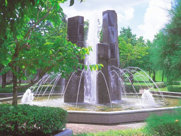 桑江公園の画像1