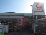 コメリハード＆グリーン豊田店