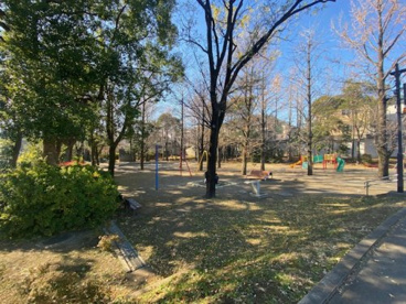 区立済美公園の画像1