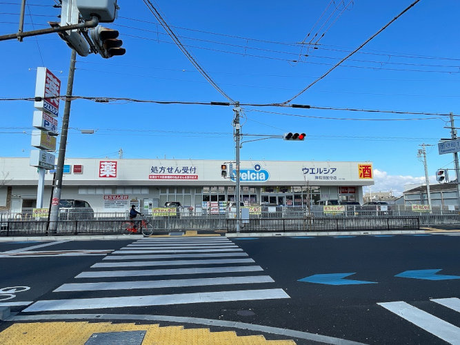 の画像