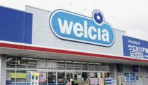 ドラッグストア ウエルシア川島吹塚店