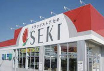 ドラッグストアセキ 川島町店