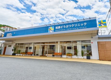柏原どうぶつクリニックの画像1