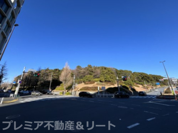 代々木公園の画像1