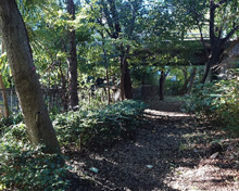 中町一丁目広場