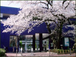 練馬区立　練馬図書館の画像1