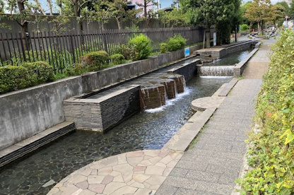 八幡山緑道 じゃぶじゃぶ池の画像1