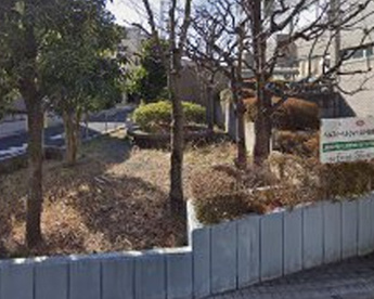 みどりの広場の画像1