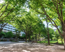 希望ヶ丘団地広場