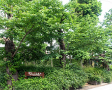 深沢一丁目緑地
