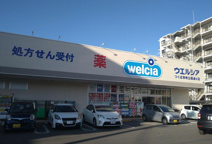 ウエルシアつくば洞峰公園通り店