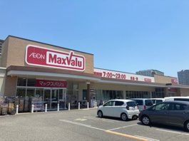 マックスバリュ金楽寺店