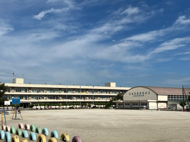 の画像