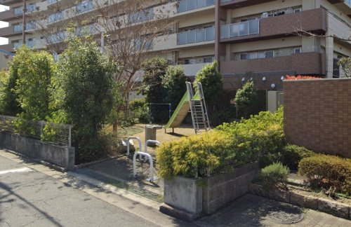 の画像