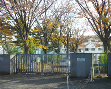 中学校 国立東京学芸大学附属世田谷中学校