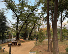 深沢こもれび緑地