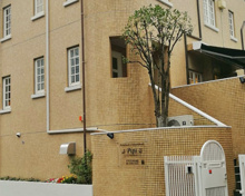 Pips・インターナショナルスクール深沢校