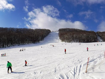 札幌藻岩山スキー場の画像1