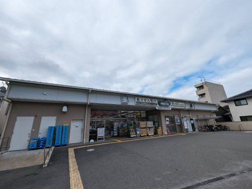 ダックス伏見肥後町店の画像