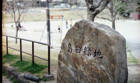 の画像