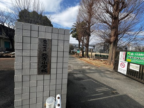 の画像
