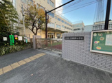 小学校 文京区立駕籠町小学校