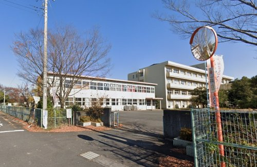 の画像
